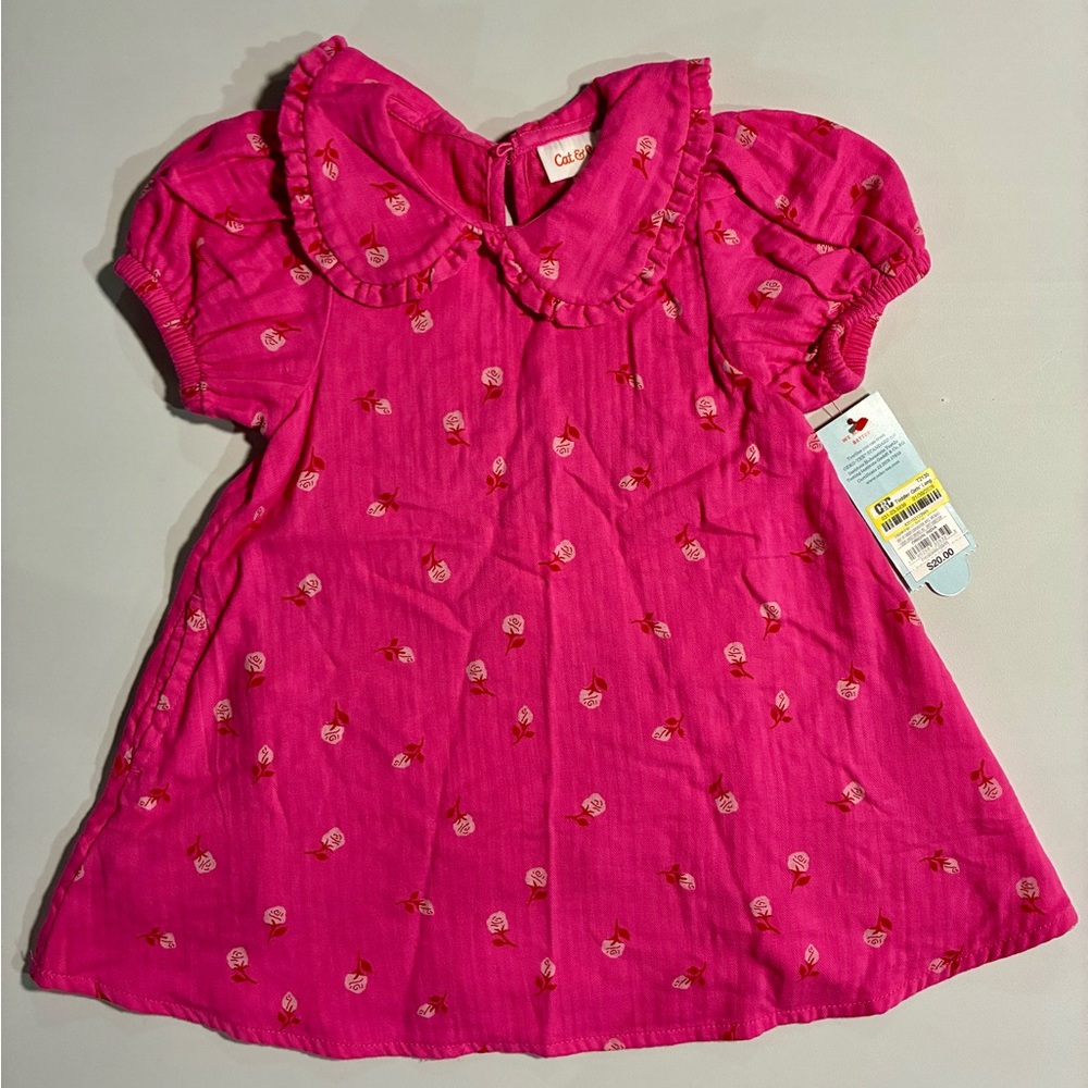 Cat & Jack Hot Pink Floral Ruffle Collar Dress